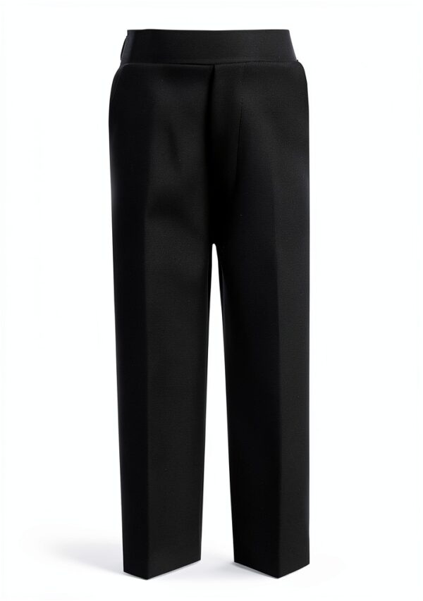 Pavo Monitor Arm Ergonomic Aluminum Desk Mount for-2