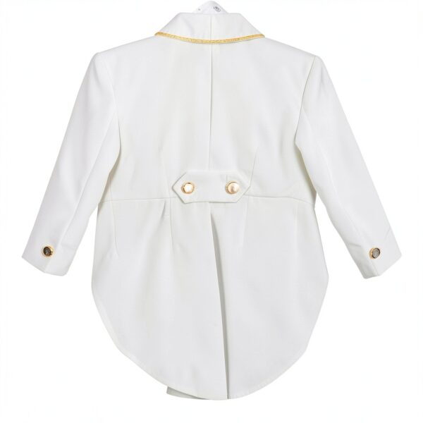 Pavo Monitor Arm Ergonomic Aluminum Desk Mount for-1